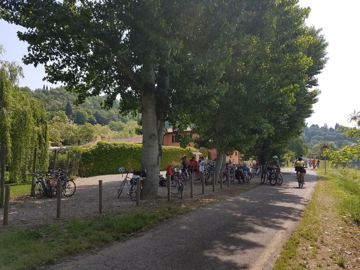 Il Glicine Sul Garda Villetta A Schiera モンツァンバーノ エクステリア 写真